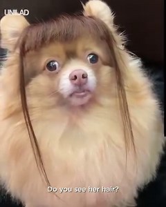 1.1M views · 4.3K shares | This little girl absolutely hates her bangs... | UNILAD | Facebook