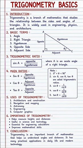 Trigonometry Basics | Homework Help | Mathematics Project