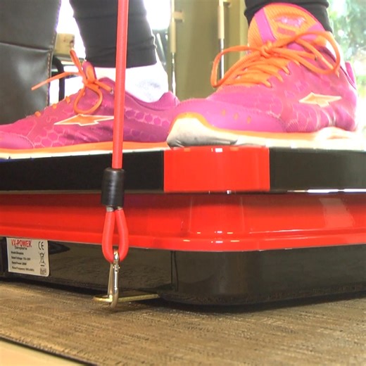 VX-Power Evolution Fitness Vibration Plates on Reels