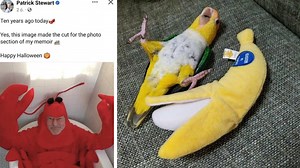 25 Of The Best And Brightest Blessed Images