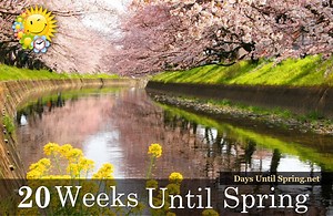 The Countdown to Spring    https://daysuntilspring.net   . . . #Spring #Spring2021 #SpringCountdown #countdown #sunandfun #CountdowntoSpring * All Credit to the Artist | Spring Countdown | Facebook