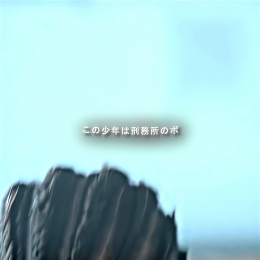 映画解説と鑑賞の楽しみ