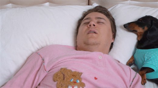 Soring is not exclusive to humans; dogs can be expert snorers too!...