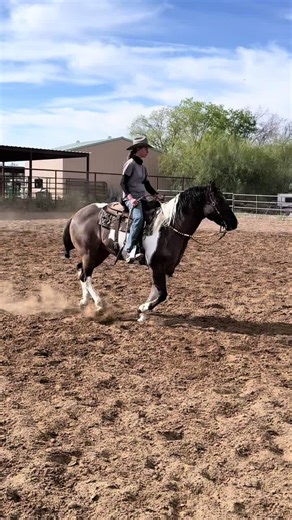 #fyp #horse #horsetraining #horsetrainer #muleskinner