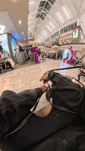 Public Reaction to Unusual Wolf-like Dogs