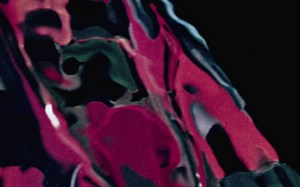 【短片】进化 Evolution（1954）