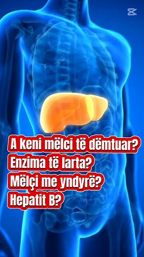 8.3K views · 678 reactions | Vaj Gjembaci - Mik i Mëlçisë dhe Trupit...