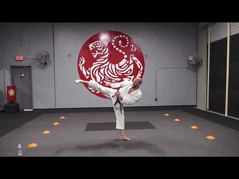 Shotokan Karate Kicks Techniques | Advanced Martial Arts Techniques | Karate Coaching.