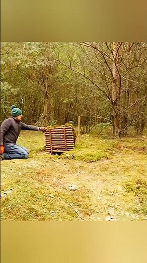 ASMR Survival Skills & Bushcraft Guide | Calm Forest Ambience #asmr #survival #surivalguide