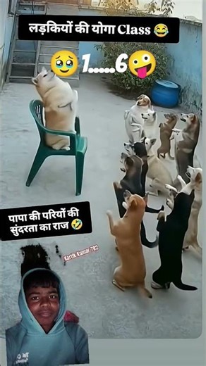 🐶🐶🐶🐶🐶🐶🐶🐶🐶🐶🐶🐶🐶🐶🐶🐶🐶🐶🤪🤪🥹