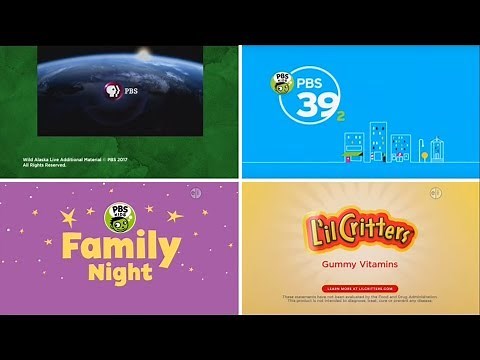 PBS Kids Family Night Interstitials - Wild Kratts / Wild Alaska Live (2017 WFWA-DT2) Part 3/3