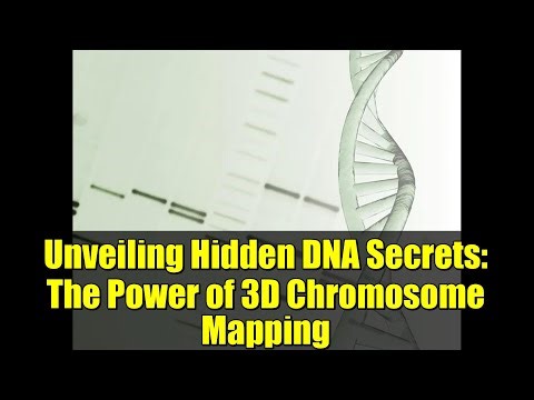 Unveiling Hidden DNA Secrets: The Power of 3D Chromosome Mapping