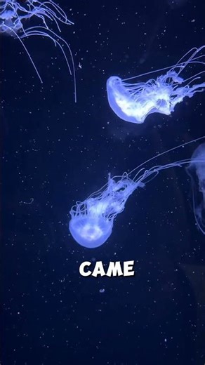 The Immortal Jellyfish Isn’t What You Think… #viral