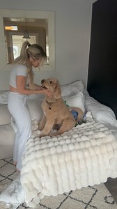 Best feeling in the world 🫶🏼 • • #dogs #dogsofinstagram #dogmom #girlandadoodle #dogowners #oliver #lovehim #goldendoodle #doggosofinsta #petsofinstagram #petowner #funnydog #goodboy #doglife #pets #petlovers #dogcomedy | Agirlandadoodle