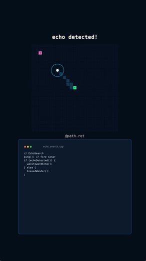 EchoSearch — firing sonar pings into the dark