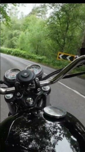 Beautiful Forest Road on a Triumph Bonneville