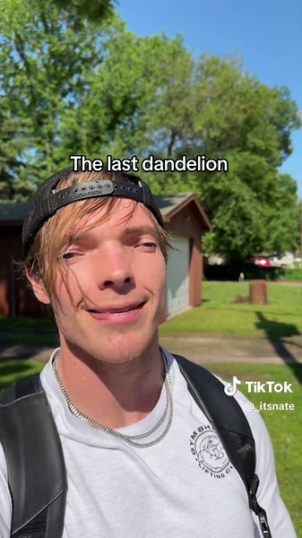 Reacting to the Last Dandelion Meme!