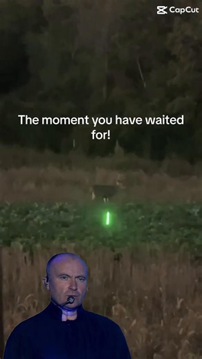 The Moment You Have Been Waiting For in Bowhunting
