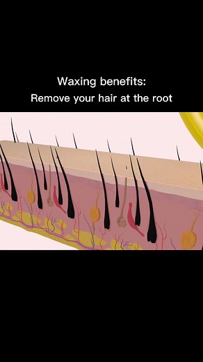 Easy Roll-On Wax Machine for Quick and Painless Hair Removal