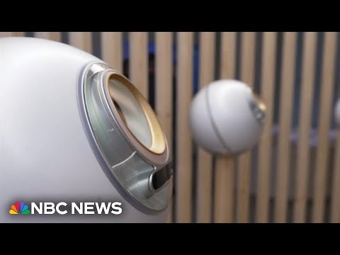 Iris-scanning orb that can verify humans coming to U.S.