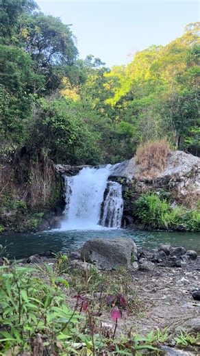 Long Life Trail: A Scenic Run to a Waterfall in Nature