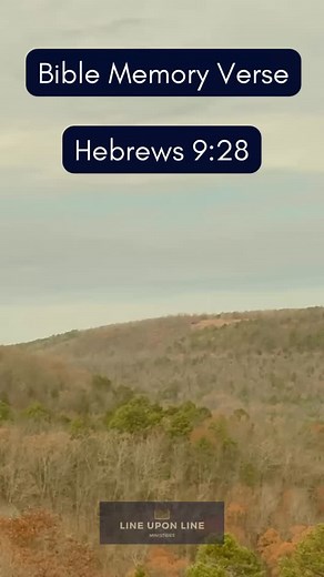 Bible Memory Verse - Heb. 9:28 www.lineuponlineministries.com . so Christ, having been offered once to bear the sins of many, will appear a second time, not to deal with sin but to save those who are eagerly waiting for him. . #gospel #grace #bible #memoryverse #Christ #christian #God #Scripture #truth #ChristJesus #Jesus #HolySpirit #christianity #faith #solascriptura #hideitinyourheart #heart | Line Upon Line Ministries