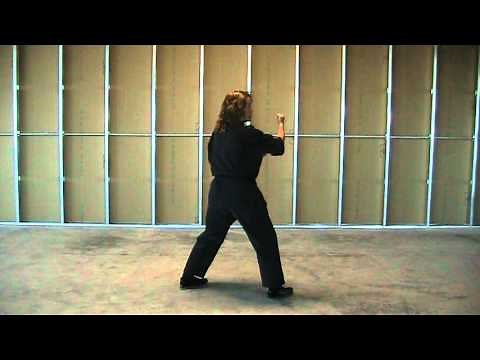 Long Form 1 - Amy Long - American Kenpo Karate - Instructional