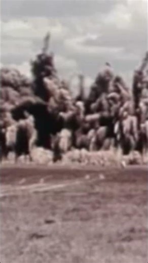 Desert Explosion Test — Rare 1950s Footage
