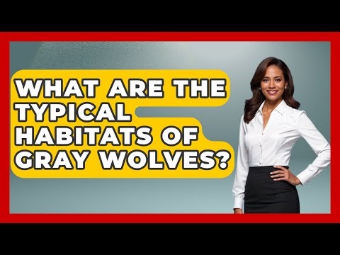 What Are The Typical Habitats Of Gray Wolves? - The Wild Life Explorer