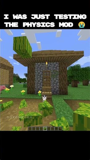 I was just testing the mod XD