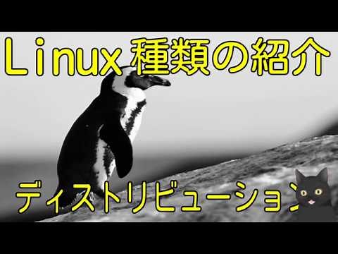 [8-minute explanation] Linux distributions [What are the differences between Ubuntu, CentOS, etc.?]
