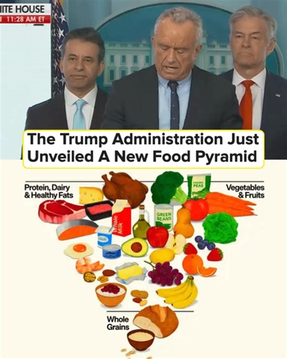 Wake up babe, new food pyramid just dropped. More details at the link 🔗: https://www.buzzfeed.com/mjs538/new-food-pyramid 🎥: Fox News, realfood.gov | BuzzFeed