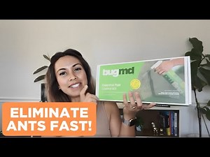 Effective Ant Control: BugMD Ant Killer & Bug Spray Review