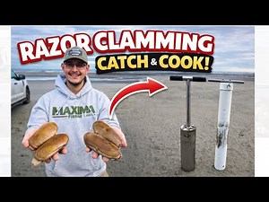 Oregon Razor Clamming SUCCESS! Easy Limits + Catch & Cook