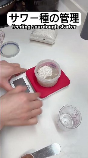 【サワー種の管理】 #サワードウ #サワードゥーブレッド #ドイツパン #sourdough #sourdoughstarter #sourdoughbread #パン作り #パン #feeding
