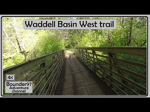 waddell basin west (Capitol Forest), May 2023