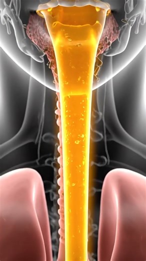 what happens when you eat honey #healthyliving #facts #fatburningsecrets