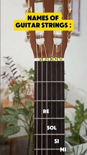 Names of guitar strings🔠🎸 #guitar #guitarlessons