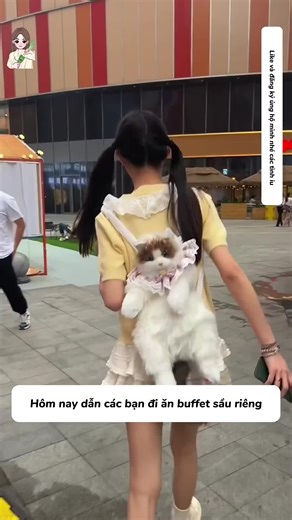 Lần đầu đi ăn buffef sầu riêng #xuhuong #mukbang