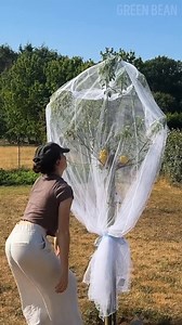 What if planting money grew a money tree? 💸🌳 | Green Bean