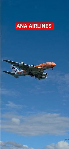 FLYING TURTLE 🐢 #airplane