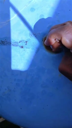 Water Problems in Trinidad & Tobago – Solutions for Leaks, Low Pressure & Pipe Issues #trinidad