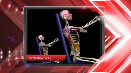 Strength Training & Stretching- Muscle Motion & Anatomy