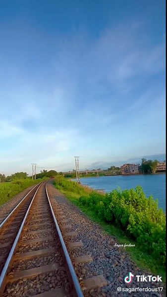 Breathtaking Views of Birds Flying in Clear Skies