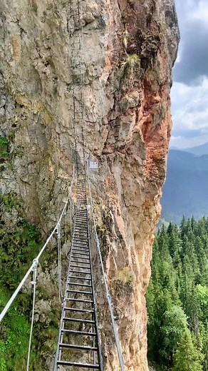 Carpthian_garden pe TikTok