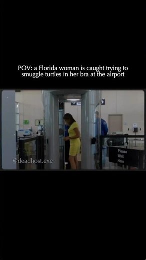 TSA Turtle Smuggling Incident