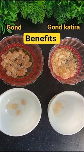 Gond vs Gond katira Benefits కఠోర #gondkatira #summerdrink #shorts #ytshorts