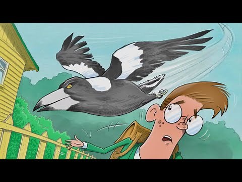 A Magpie Story | Why Can't We Be Friends? | It’s StoryTime | Kids | Animated Rhyme | Music