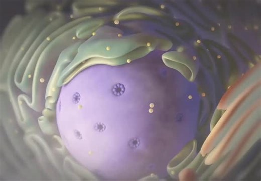 Abhay Mishra | Academic Advisor on Instagram: "Follow🎖️🔬 How CRISPR-Cas9 Works (Step-by-Step): 1️⃣ Target Selection – Identify the exact DNA sequence you want to edit. 2️⃣ Guide RNA Design (gRNA) – Create an RNA sequence that matches the target DNA. 3️⃣ Cas9 Binding – gRNA guides Cas9 to the exact gene location. 4️⃣ DNA Cutting – Cas9 acts like molecular scissors and creates a double-strand break. 5️⃣ Cell Repair Begins – The cell tries to fix the break through NHEJ or HDR mechanisms. 6️⃣ Gene