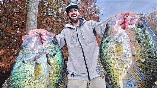 Remote swampy lake waters harbor massive schools of slab crappie
